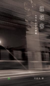 埋花窖：王辰龙自选集（2012-2022）