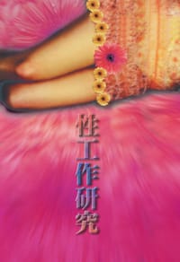 书籍 性工作研究的封面