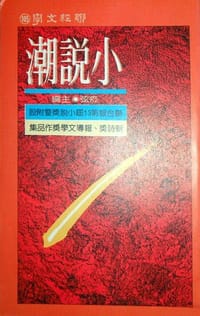 小说潮——联合报第13届小说奖暨附设新诗奖、报道文学奖作品集