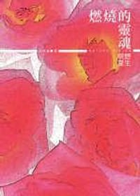 书籍 燃燒的靈魂的封面