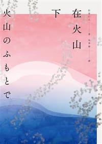 在火山下