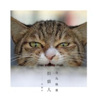 身為職業拍貓人