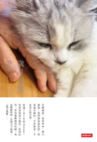 歲月無驚（平裝）（附贈蔣勳攝影「扶桑花」萬用卡一張） - 无名图书