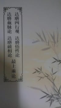 達磨四行觀.達磨血脈論.達磨悟性論.達磨破相論.最上乘論.黃囗 - 无名图书