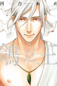 鴿之王