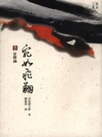 宛如飞翔（二）