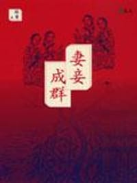 书籍 妻妾成群的封面