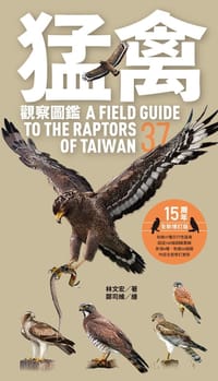 猛禽觀察圖鑑（全新增訂版） - 林文宏（著）