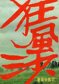 书籍 狂風沙的封面