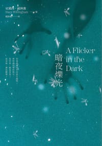 暗夜爍光