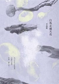 白馬走過天亮 - 言叔夏