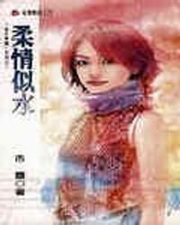 书籍 柔情似水的封面