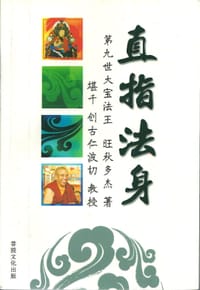 直指法身 - 无名图书