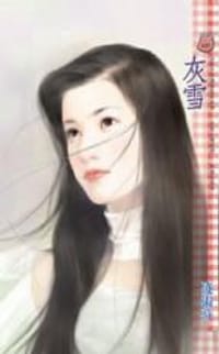 书籍 灰雪的封面