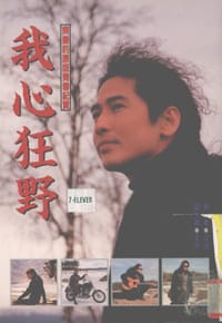 我心狂野 - 齊秦（口述）, 劉大絹（文字）
