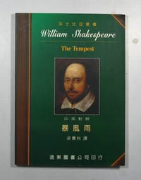 书籍 暴风雨的封面