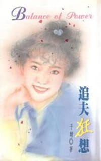 书籍 追夫狂想的封面