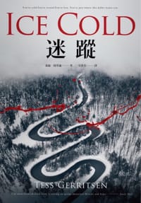 书籍 迷蹤的封面