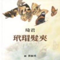 玳瑁发夹