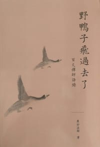 野鴨子飛過去了