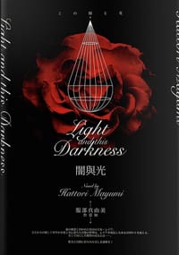 书籍 闇與光的封面