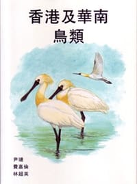 香港及華南鳥類 - 尹璉