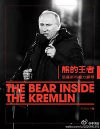 书籍 熊的王者的封面