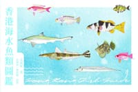 香港海水魚類圖鑑