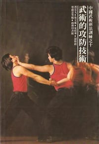 武術的攻防技術