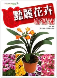 艷麗花卉輕鬆種 - 依琳