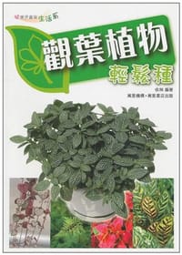 觀葉植物輕鬆種 - 依琳