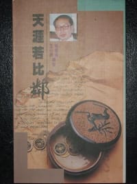 书籍 天涯若比邻的封面