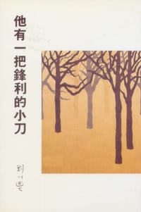 书籍 他有一把鋒利的小刀的封面