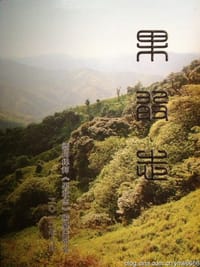 书籍 果敢志的封面