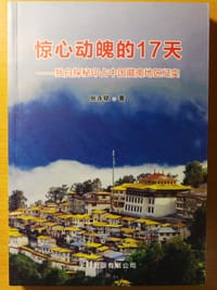 惊心动魄的17天 - 张永铭