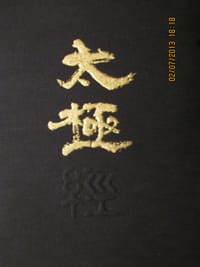 太极经 - 仿佛居士陆锦川