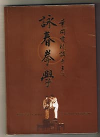 叶问爱徒讲手王之咏春拳学 - 陈俭文, 麦汉基