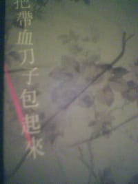 把带血刀子包起来 - 李碧华