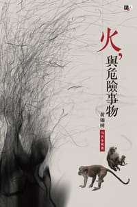 火，與危險事物：黃錦樹馬共小說選