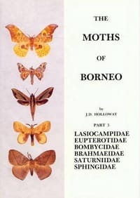 The Moths of Borneo