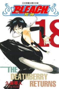死神18 - [日本] 久保带人