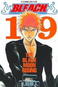死神19 - [日本] 久保带人