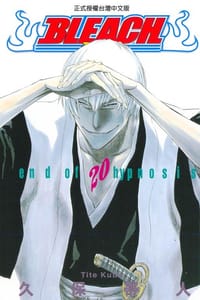 死神20 - [日本] 久保带人