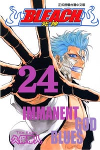 死神24 - [日本] 久保带人
