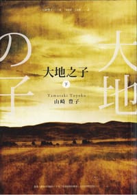 书籍 大地之子（下）的封面