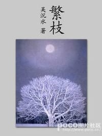 繁枝 - 吴沉水