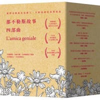 书籍 那不勒斯故事四部曲的封面