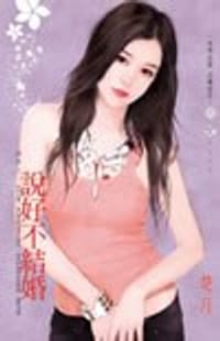 书籍 說好不結婚的封面
