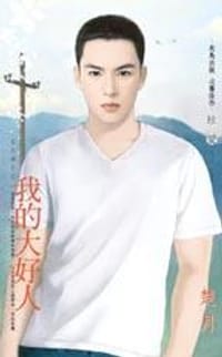 书籍 我的大好人的封面