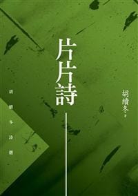 书籍 片片詩的封面